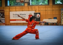 Międzynarodowe Mistrzostwa Polski Wushu_8