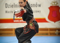 Międzynarodowe Mistrzostwa Polski Wushu_1